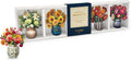 Freshcut Paper Floral Magnets: Garden Favorites - Set of 5