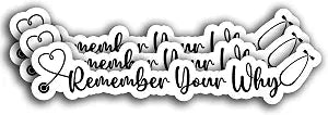 (3PCS) Remember Your Why Sticker, ER Nurse Funny Medical Healthcare Sticker, Nursing School, Future Nurse Sticker Decals for Books Laptops Phone Water Bottles Tumbler Cup Kindle 3x0.8 Inch