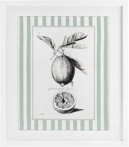 Vintage Lemon Striped Border, 13 x 16 Inch Framed Print Under Glass