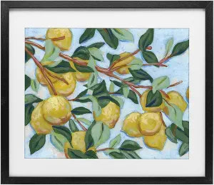 Sunshine Citrus Tree Botanical, 13 x 16 Inch Framed Print Under Glass