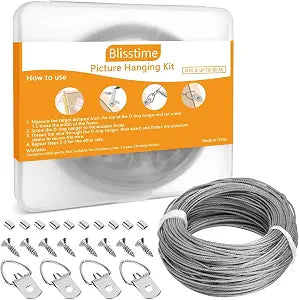 Blisstime 181 Pcs Picture Hanging Kit for Canvas Paintings, Photo Frames
