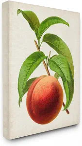 Stupell Industries Vintage Peach Still Life, 24 x 30 Inch Canvas Wall Art