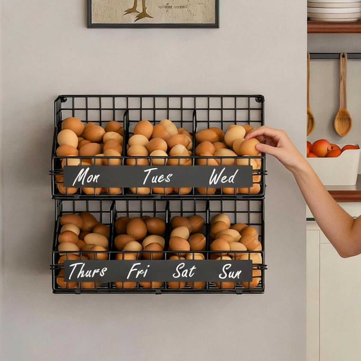 Egg Holder Countertop,Metal Egg Rack with Adjustable Dividers & DIY Labels