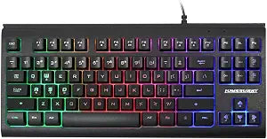 Lumsburry Computer Keyboard, 87 Keys Compact Wired USB Keyboard
