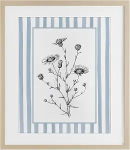 Herbs Striped Border Botanical, 13 x 16 Inch Framed Print Under Glass