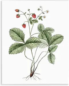 Budding Strawberries Study, 11 x 14 Inch Mounted Print on Wall Plaque