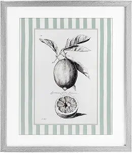 Vintage Citrus Striped Still Life, 13 x 16 Inch Framed Print Under Glass