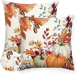 Fall Pillow Covers 18x18 Outdoor Waterproof,Pumpkin Thanksgiving Set of 2
