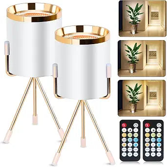 Spot Lights Indoor Floor Lamp, 6W Uplighting Indoor with Remote, Dimmable & Timer & 3 Color Temperatures, 2700K to 6500K Floor Can Lights for Plants Pictures Corner Ambient Lighting, 2 Pack