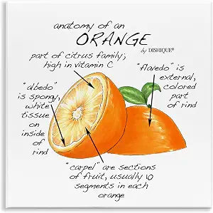 Orange Citrus Fruit Chart, 12 x 12 Inch Mounted Print on Wall Plaque