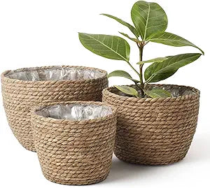 LA JOLIE MUSE Seagrass Basket Planters for Indoor Plants, Flower Pot 3 Pack