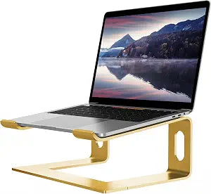 ALASHI Ergonomic Laptop Stand, Aluminum Desk Riser, 10-15.6", Gold