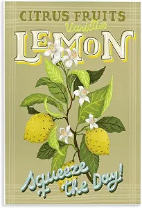 Vintage Citrus Lemon Squeeze, 13 x 19 Inch Mounted Print on Wall Plaque