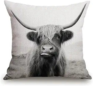 TSSOHU Black and White Throw Pillow Cover Patio Furniture Scottish Highland Cow on Isle of Mull Decorative Cushion Cases Home Dcor for Couch Bed Sofa 18x18 Inch