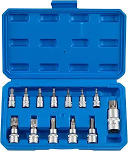 Torx Bit Socket Set, 13 Pcs Star Bits (T8-T70), 1/4", 3/8" & 1/2" Drive, Quenched Heat-Treated CR-V Steel Professional Mechanic Tools with Portable Storage Case, for Auto, Motorcycle & Garage Repairs