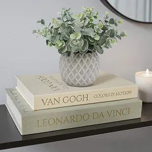 MAOBUYOU Decorative Storage Books Set of 2, Linen Cover, Gold Letters, White and Green