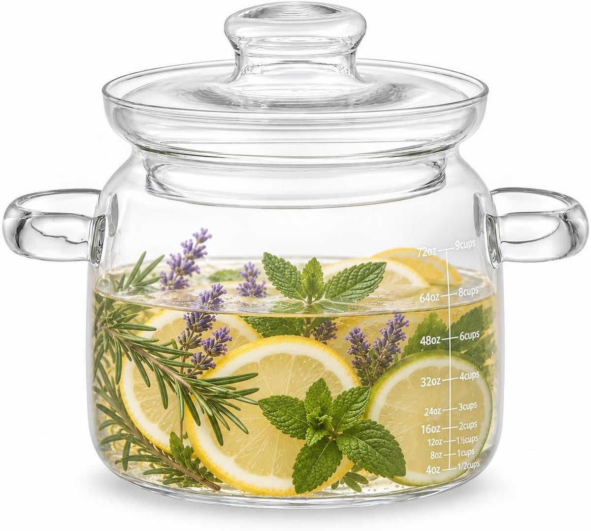 2.5 Quart Glass Simmer Pot for Cooking on Stove,Borosilicate Potpourri Pot
