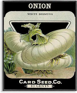 Vintage Onion Botanical Kitchen, 16 x 20 Inch Framed Gicle Print