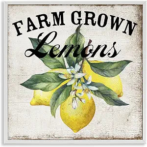 Farmhouse Lemon Still Life Kitchen, 12 x 12 Inch Framed Gicle Print