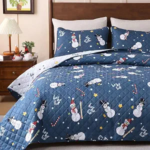 Invoibler Christmas Quilt Set Queen, 3-Piece Reversible Bedding Set with 2 Pillowcases, Snowman Snowflake Candy Cane��� Bedspread Coverlet, Winter Lightweight Blue White Microfiber Comforter 90"x90"