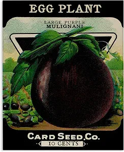 Stupell Industries Vintage Eggplant Botanical, 16 x 20 Inch Canvas Wall Art