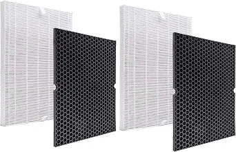 116130 Filter H, Compatible with Winix 5500-2 Air Purifier, 2-Pack