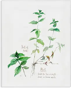 Mint Sprigs Watercolor Herb, 24 x 30 Inch Canvas Wall Art