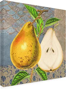 Wrapped Canvas Wall Art - Gail Fraser 'Une Poire Square 4' Wall Art for Living Room, Bedroom, or Office Dcor - 14x14