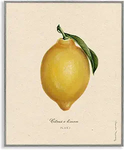 Lemon Fruit Portrait Kitchen, 11 x 14 Inch Framed Gicle Print