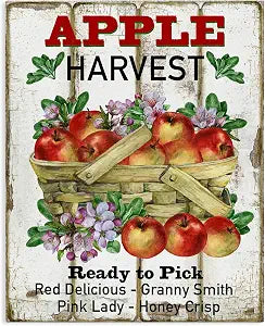 Fresh Apple Harvest Farmhouse, 16 x 20 Inch Canvas Wall Art