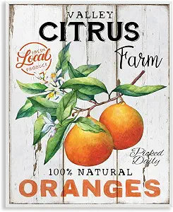 Retro Citrus Farmhouse Kitchen, 11 x 14 Inch Framed Gicle Print
