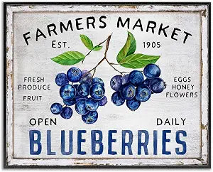 Farmers Market Blueberries Kitchen, 11 x 14 Inch Framed Gicle Print