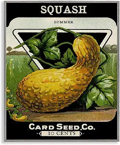 Vintage Squash Still Life Botanical, 11 x 14 Inch Framed Gicle Print