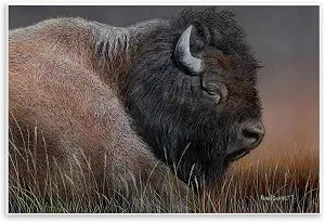 Bison Close Up Rustic Farmhouse, 13 x 19 Inch Mounted Print on Wall Plaque