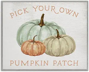 Pumpkin Patch Gourd Trio Farmhouse Sign, 11 x 14 Inch Framed Gicle Print