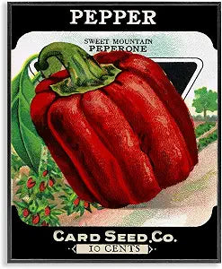 Vintage Garden Peppers Farmhouse, 16 x 20 Inch Framed Gicle Print