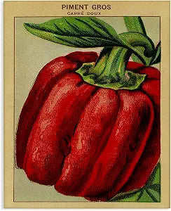 Country Vintage Pepper Kitchen, 24 x 30 Inch Canvas Wall Art