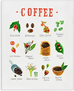 Coffee Beans Origins Kitchen, 24 x 30 Inch Canvas Wall Art