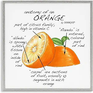 Orange Citrus Fruit Chart Learning, 17 x 17 Inch Framed Gicle Print
