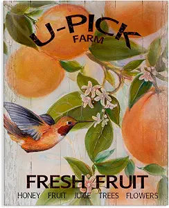Fresh Fruit Farm Still Life, 16 x 20 Inch Canvas Wall Art