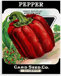 Vintage Pepper Gardening Label, 11 x 14 Inch Mounted Print on Wall Plaque