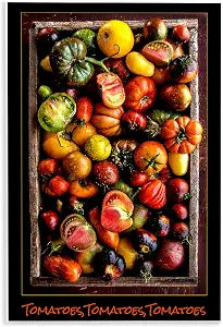 Tomato Harvest Still Life, 13 x 19 Inch Mounted Print on Wall Plaque