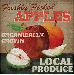 Fiona Stokes-Gilbert 'Apples' Canvas Art