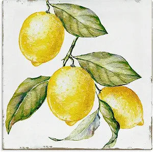 Rustic Citrus Fruit Kitchen, 24 x 24 Inch Canvas Wall Art