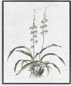 Herb Bud Floral Still Life Study, 11 x 14 Inch Framed Gicle Print