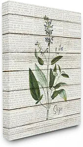 Stupell Industries 'Sage Vintage Herb Kitchen Dining Room Word Collage Design', Canvas Art, 24 x 30 Inches, Easy to Hang and Sturdy, Made in USA, by Kim Allen