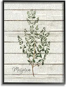'Marjoram Vintage Herb Kitchen Dining Room'| Framed Giclee Art