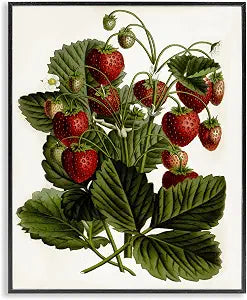 Vintage Strawberry Plant Study, 16 x 20 Inch Framed Gicle Print