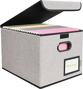 BALEINE File Organizer Box with Lid, Collapsible Hanging File Storage Box