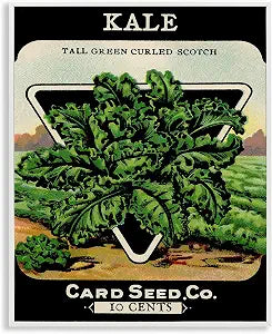 Vintage Gardening Kale Botanical, 11 x 14 Inch Framed Gicle Print